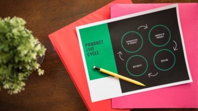Product Life Cycle