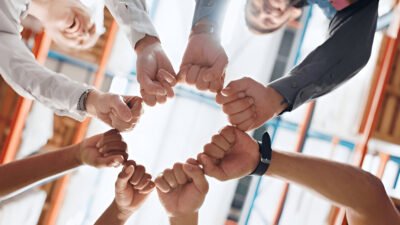 The Impact of Diversity on Product Customization